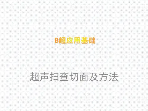 宠物疾病诊疗-超声扫查的切面及方法