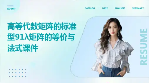 高等代数矩阵的标准型91λ矩阵的等价与法式课件