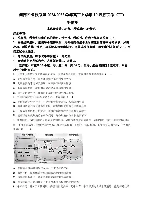 2024-2025学年河南省金太阳高三上学期联考(三)生物试题及答案
