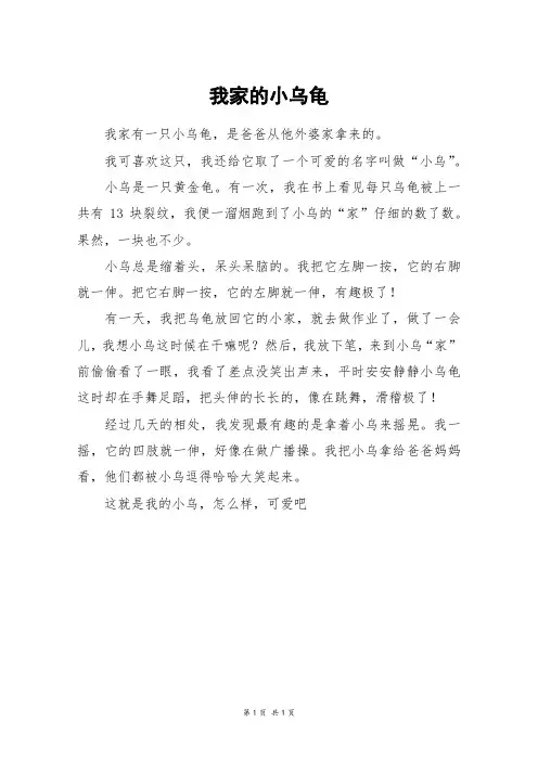 我家的小乌龟_三年级作文_1