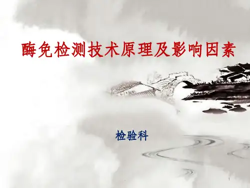 酶免检测技术原理及影响