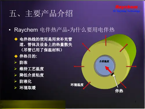 北京瑞侃科技有限公司电伴热演示文稿