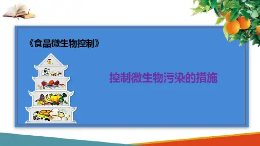 食品的微生物污染及其控制(食品微生物控制技术课件)