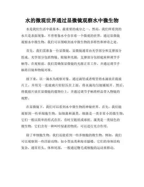 水的微观世界通过显微镜观察水中微生物