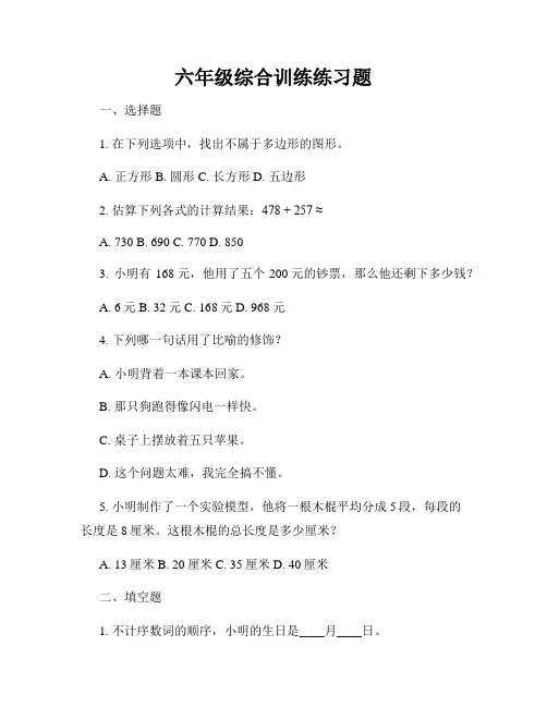 六年级综合训练练习题