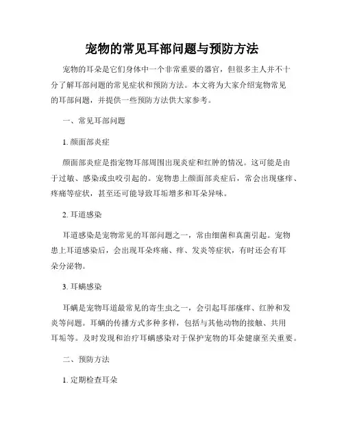宠物的常见耳部问题与预防方法