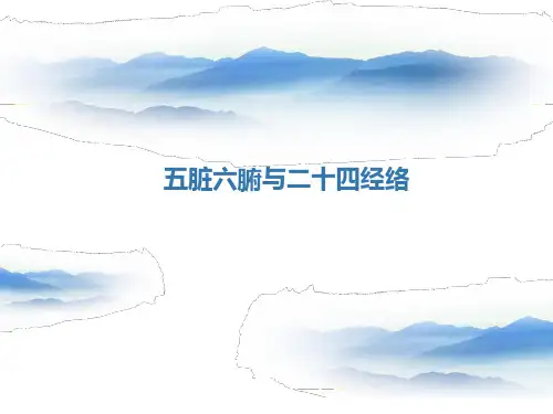 五脏及经络