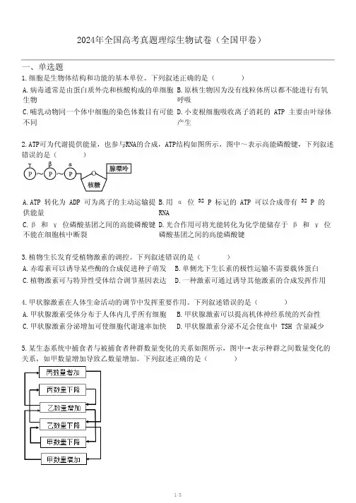 2024年全国高考真题理综生物试卷(全国甲卷)