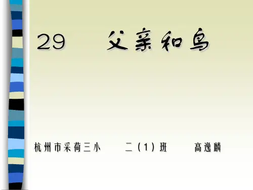 父亲和鸟PPT教材课件