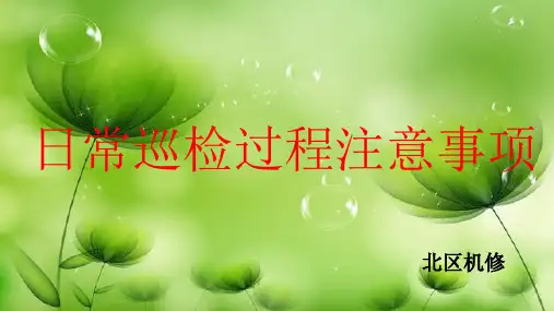 日常巡检过程注意事项