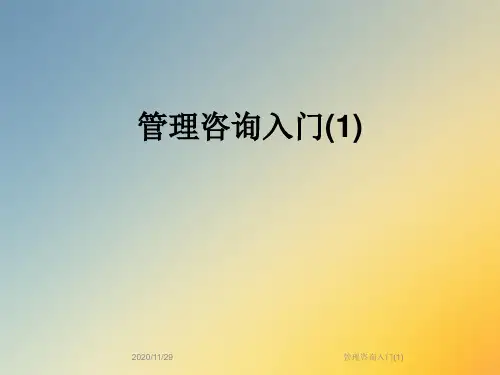 管理咨询入门(1)