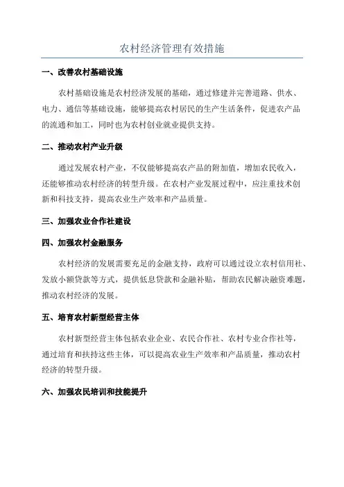 农村经济管理有效措施