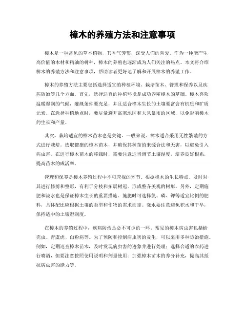 樟木的养殖方法和注意事项