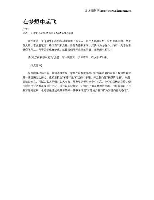 在梦想中起飞