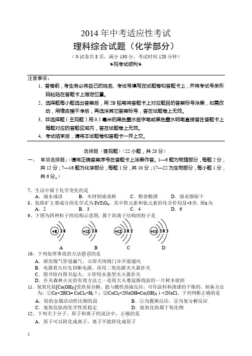 2014年九年级理综化学中考适应性模拟试卷及答案
