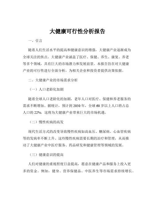 大健康可行性分析报告