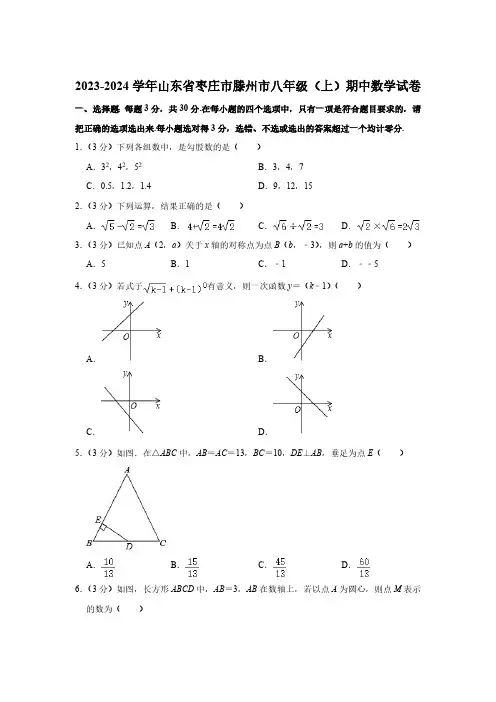 山东省枣庄市滕州市2023-2024学年八年级上学期期中考试数学试卷(含解析)