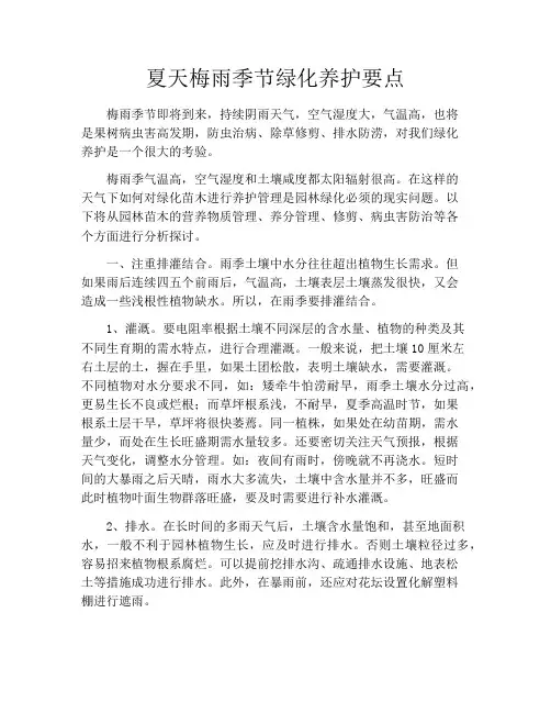 夏天梅雨季节绿化养护要点