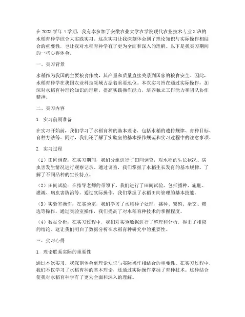 水稻育种学实习报告心得