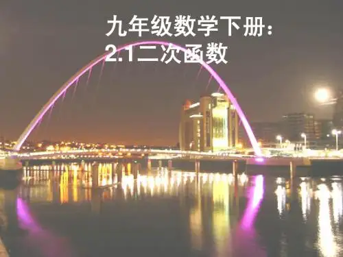 九年级数学下册_26.1.1_二次函数的定义课件_人教新课标版
