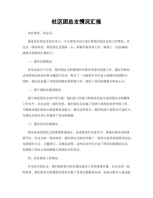 社区团总支情况汇报