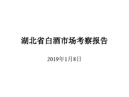 湖北省白酒市场考察报告提案页PPT文档