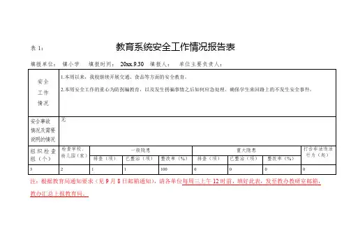 安全周报告表1