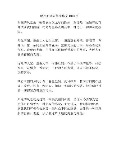 眼底的风景优秀作文1000字