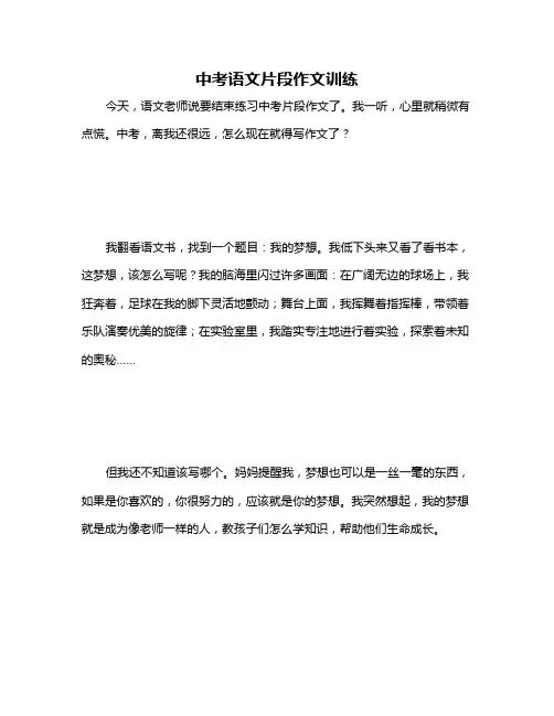 中考语文片段作文训练
