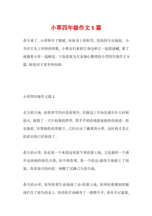 小草四年级作文5篇