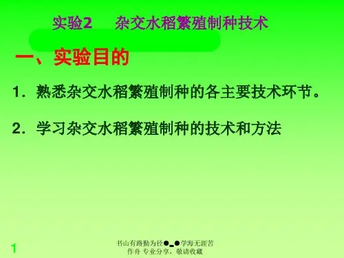 杂交水稻繁殖制种技术