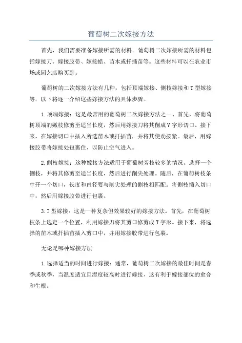葡萄树二次嫁接方法