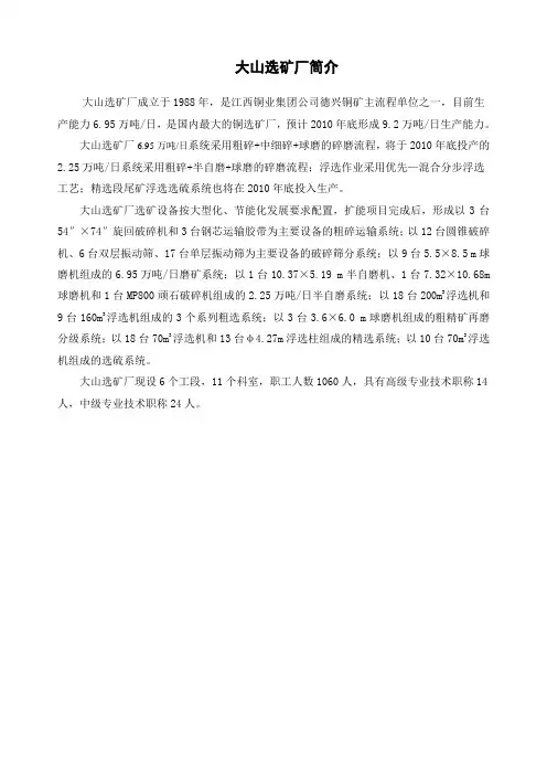 大山选矿厂简介