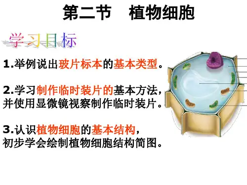 人教版七年级生物上册第2单元第1章第2节植物细胞课件