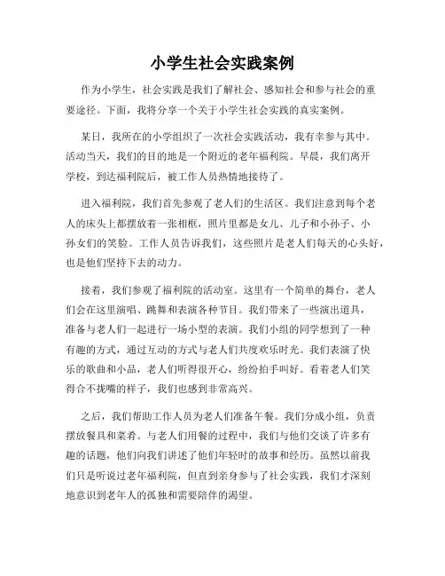 小学生社会实践案例