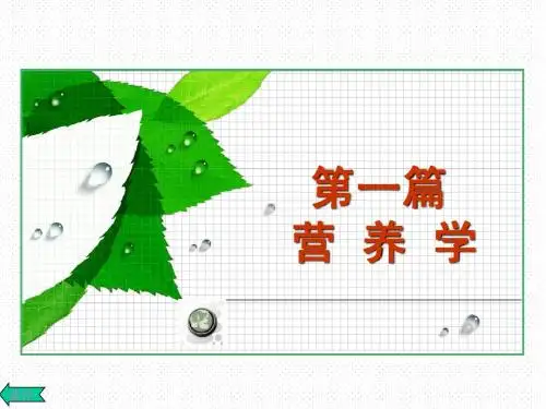 食品营养1.1pro(4)