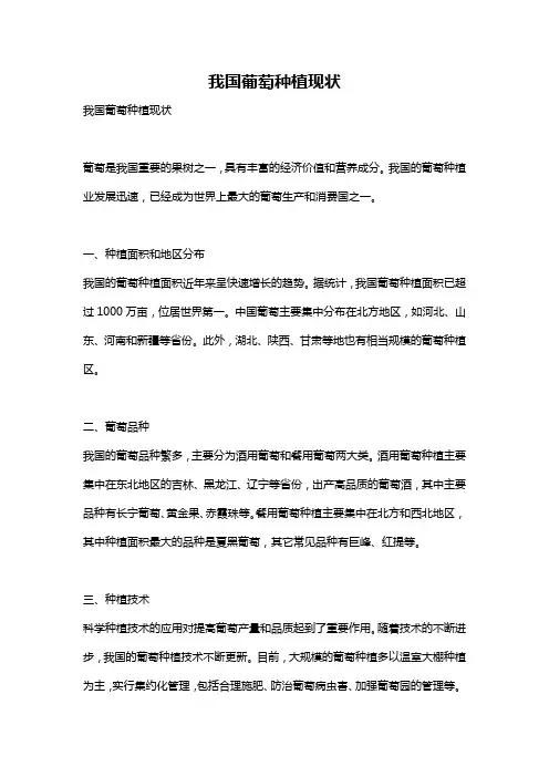 我国葡萄种植现状