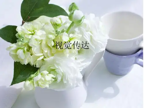 视觉传达设计分析