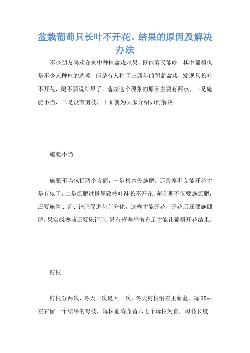 盆栽葡萄只长叶不开花、结果的原因及解决办法
