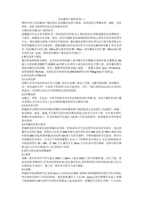 浅水藕高产栽培技术(一)