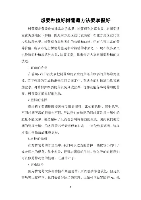 想要种植好树葡萄方法要掌握好