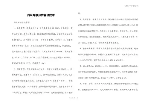 西瓜嫁接后的管理技术 