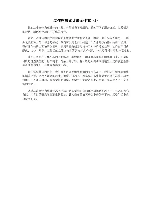 立体构成设计展示作业 (2)
