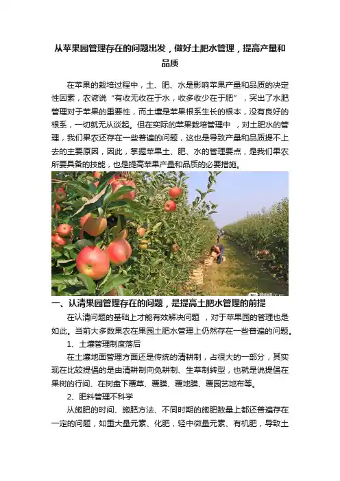从苹果园管理存在的问题出发，做好土肥水管理，提高产量和品质
