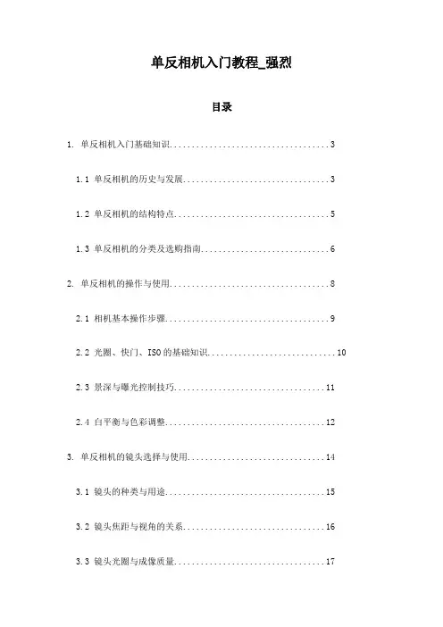 单反相机入门教程_强烈