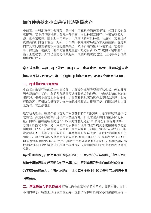如何种植秋冬小白菜使其达到最高产