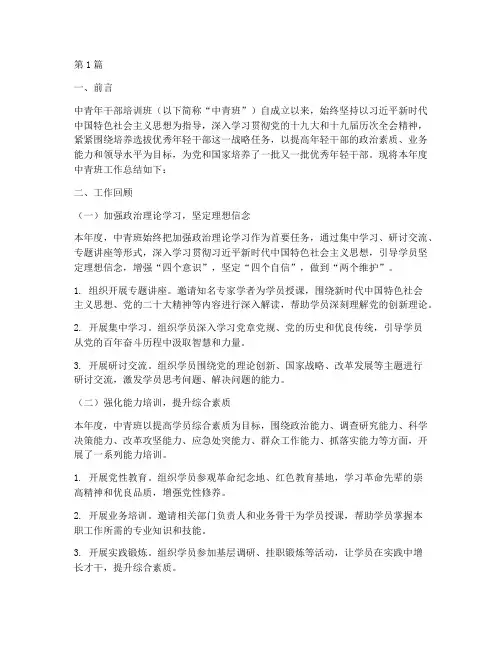 中青班年度总结报告范文(3篇)