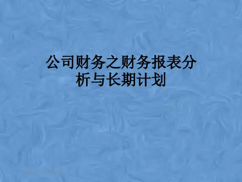 公司财务之财务报表分析与长期计划