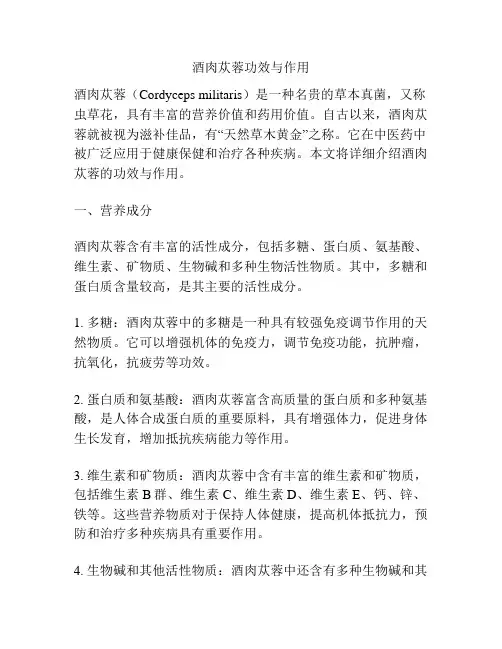 酒肉苁蓉功效与作用