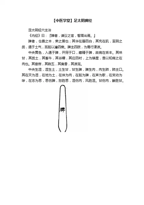 【中医学堂】足太阴脾经